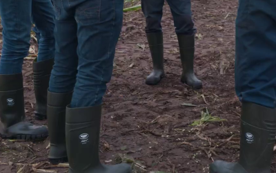 Botas Bekina: La elección perfecta para los agricultores exigentes.